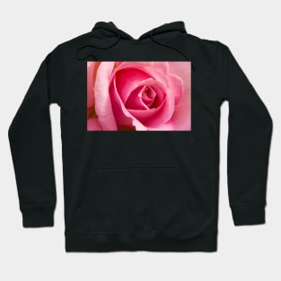 Rose Hoodie